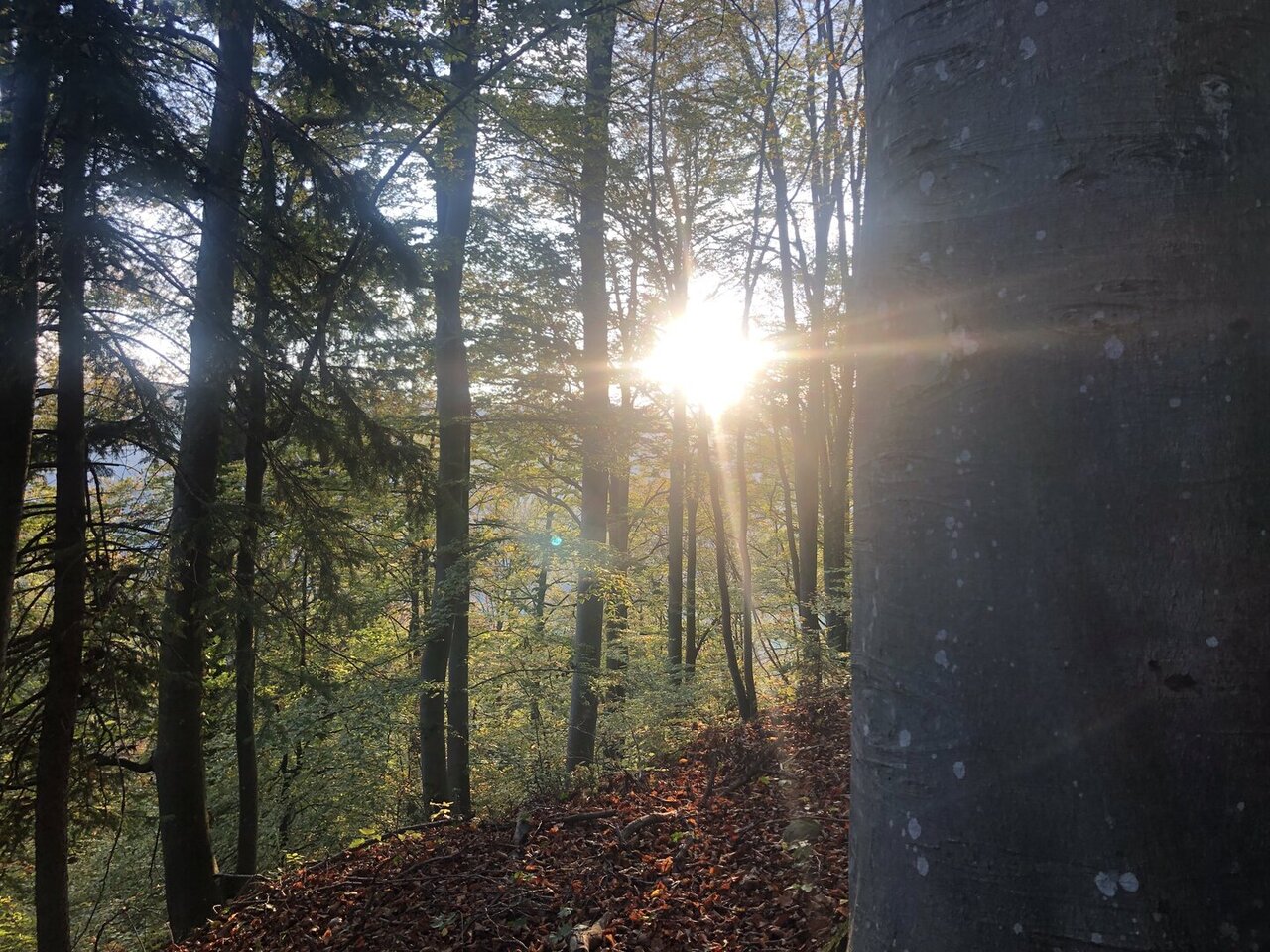 Gemeinde Geistthal-Södingberg