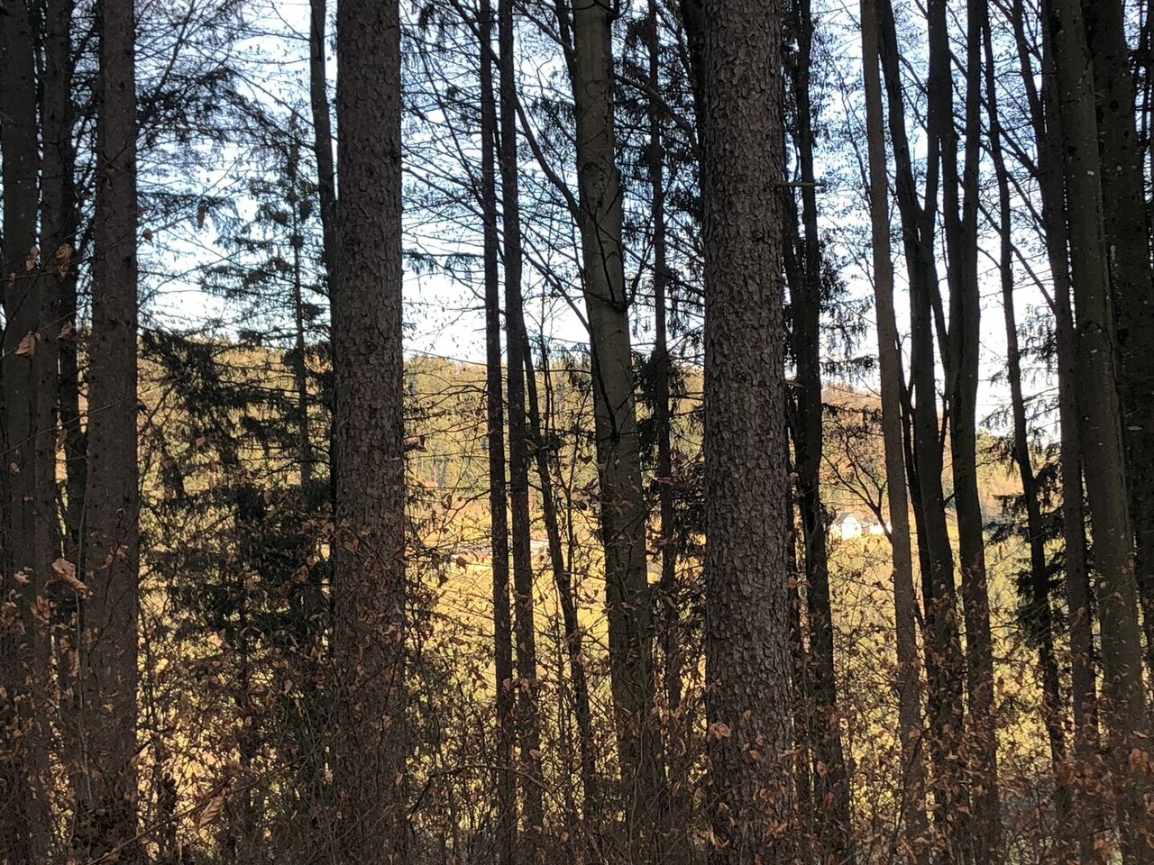 Gemeinde Geistthal-Södingberg