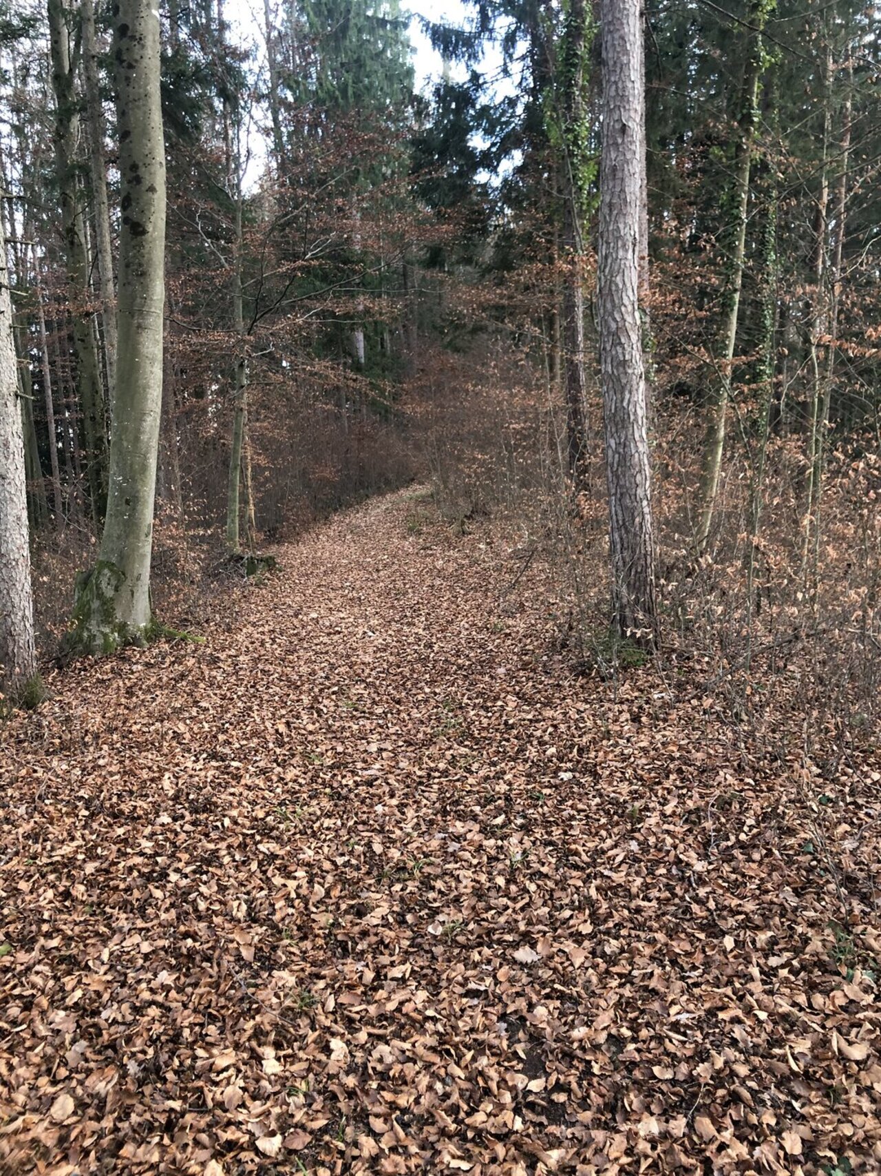 Gemeinde Geistthal-Södingberg