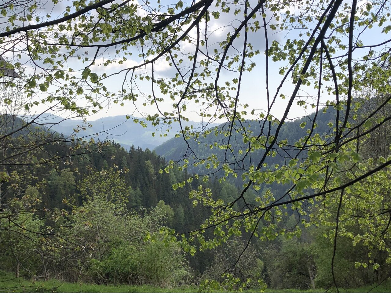 Gemeinde Geistthal-Södingberg